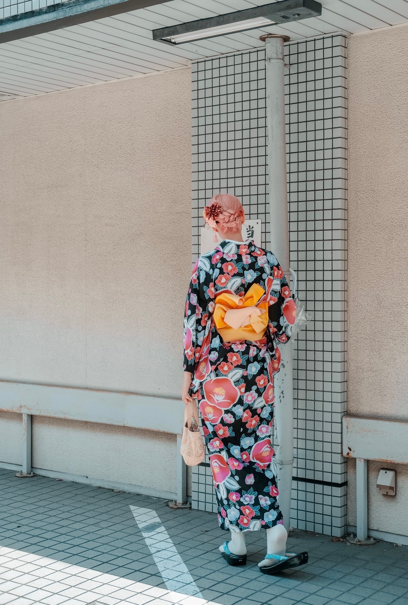 The Japan Edit