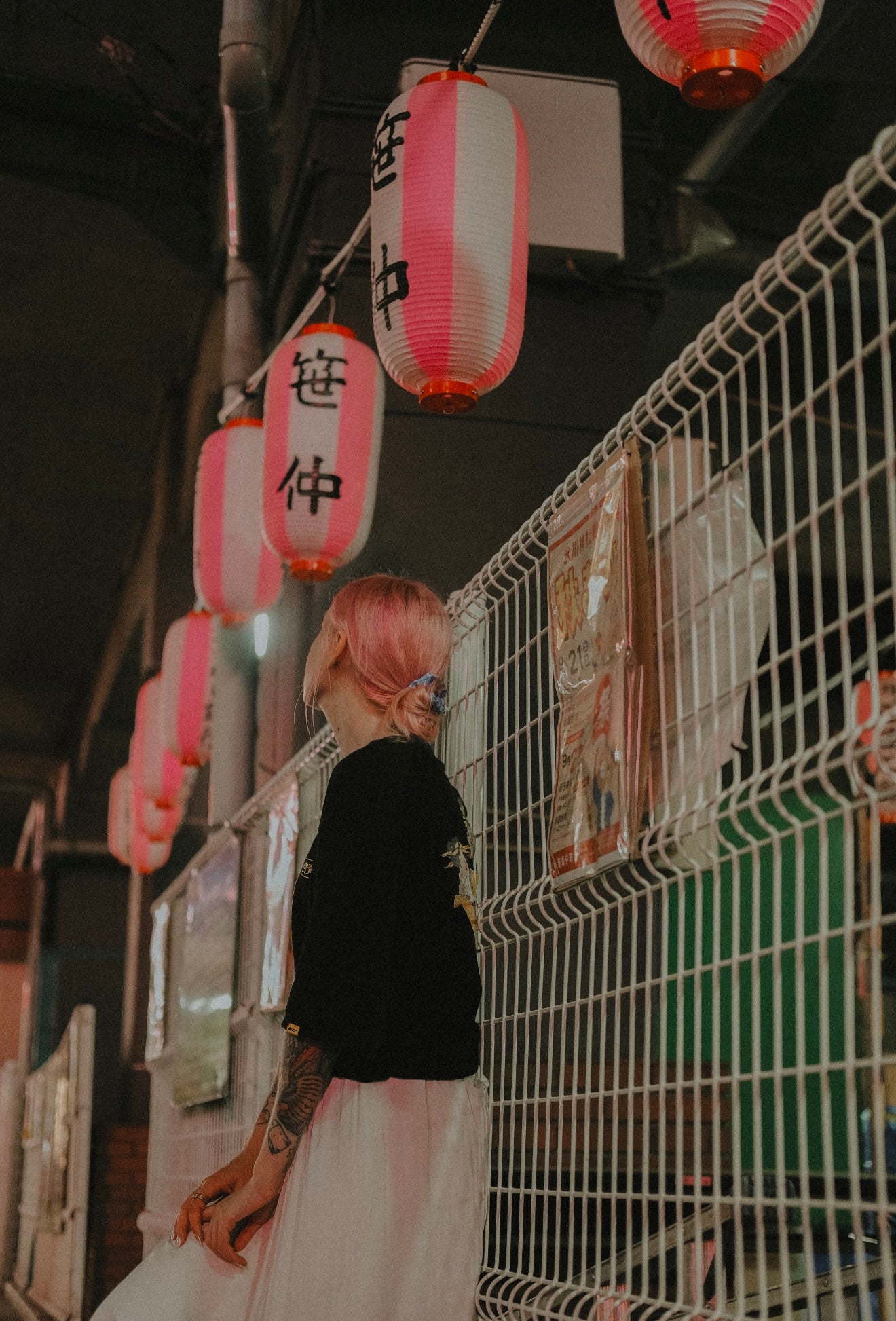 The Japan Edit