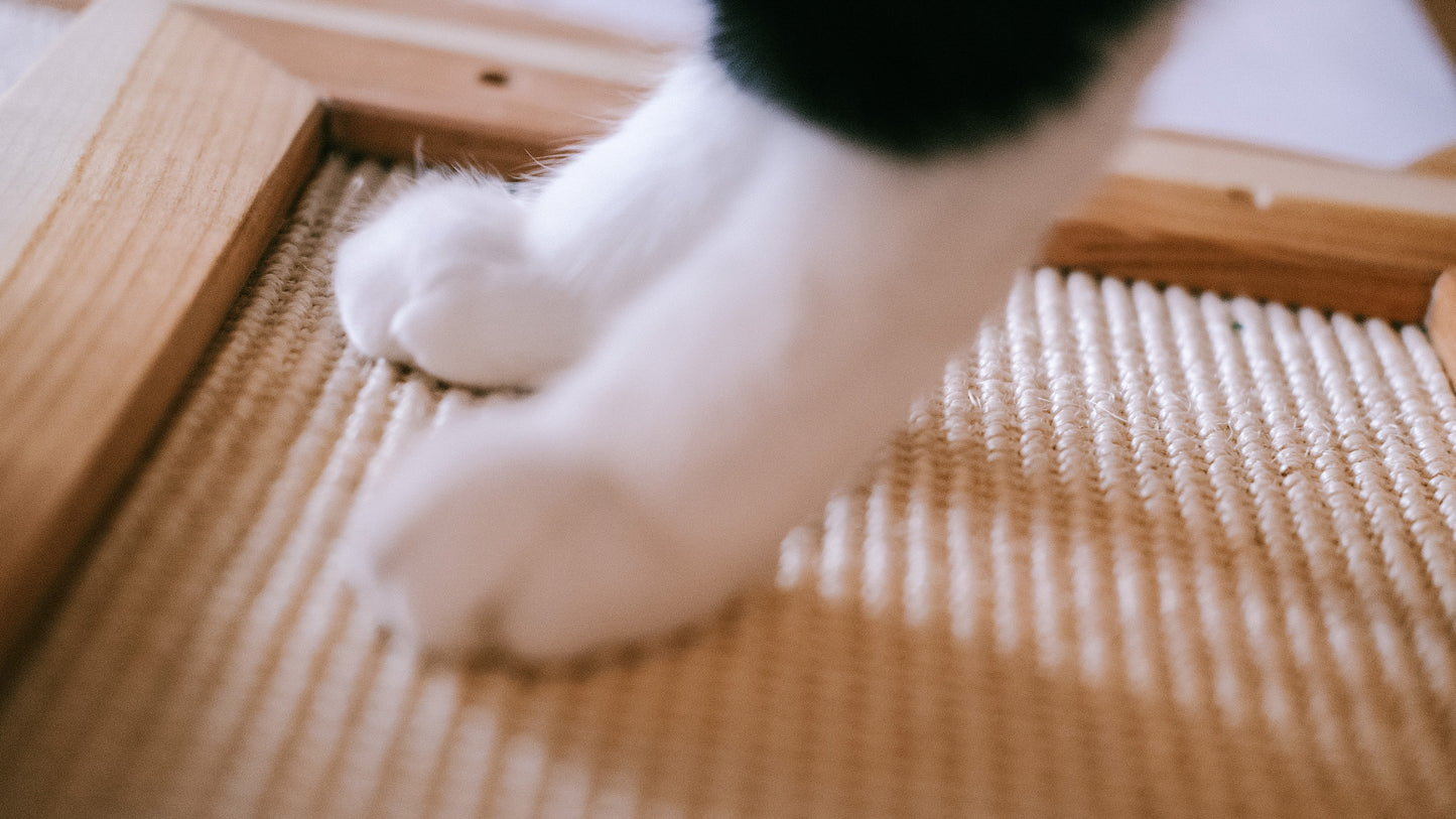 HANDMADE SCRATCHING BOARD