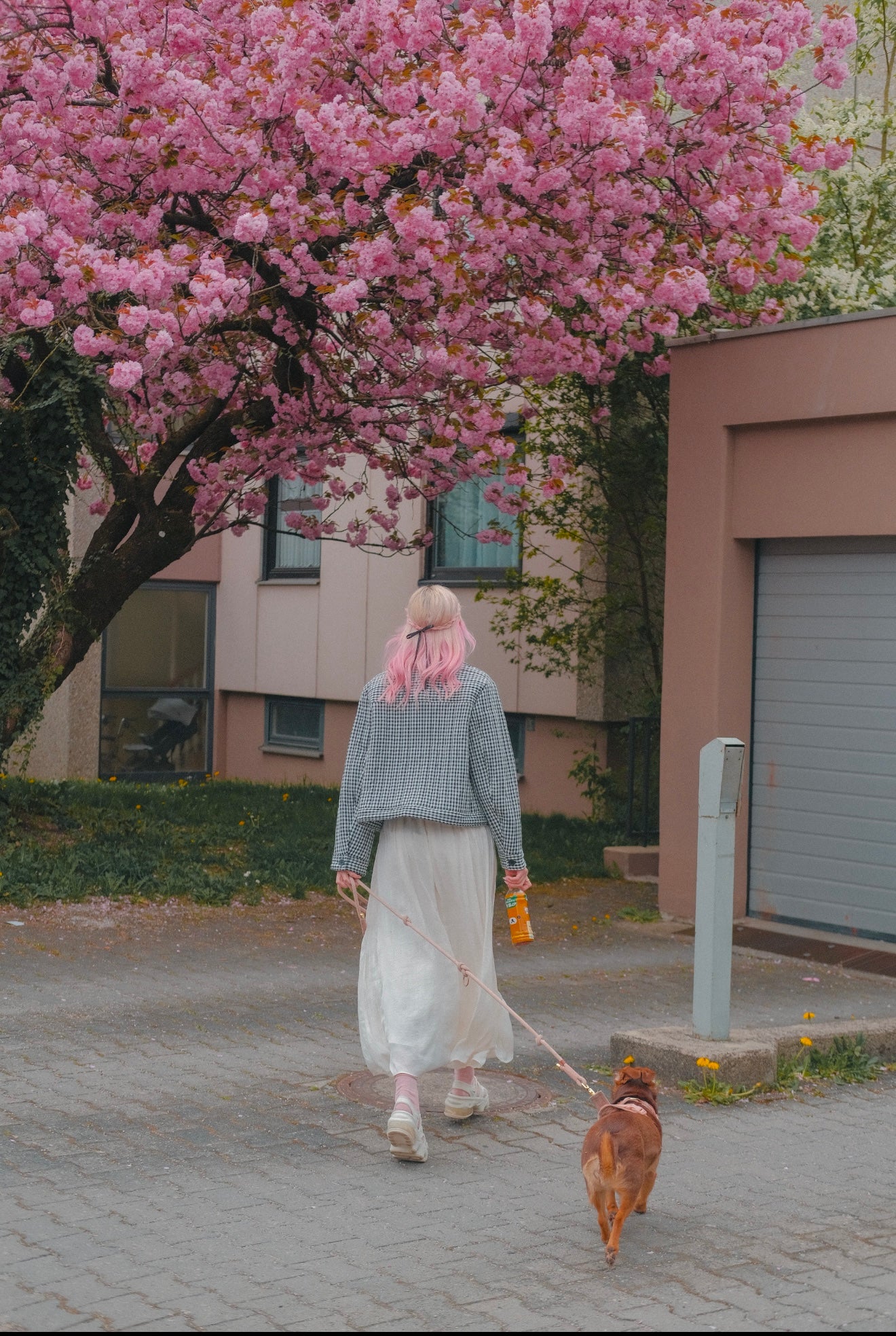 The Spring Edit