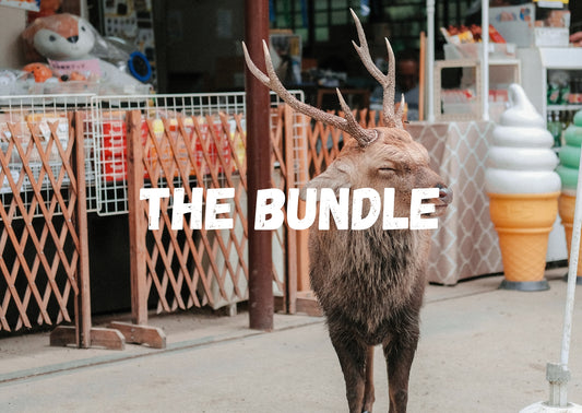The Bundle
